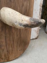 Antique style Antique coat rack horns in Wood