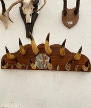 Antique style Antique mirror coat rack horns in Wood