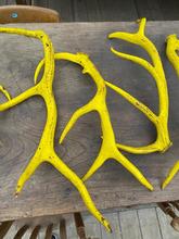 Antique style Antique yellow antlers