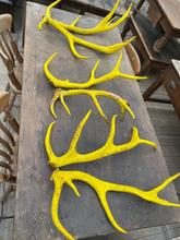 Antique style Antique yellow antlers